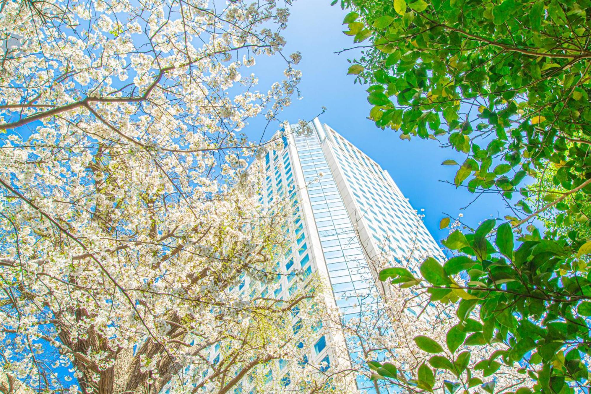 Shinagawa Prince Hotel Tōkyō Extérieur photo